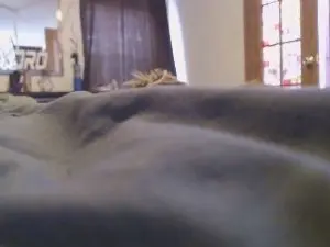 Cam4 Best Webcam of werg05