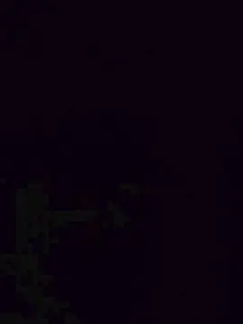Cam4 Best Webcam of Collant2021