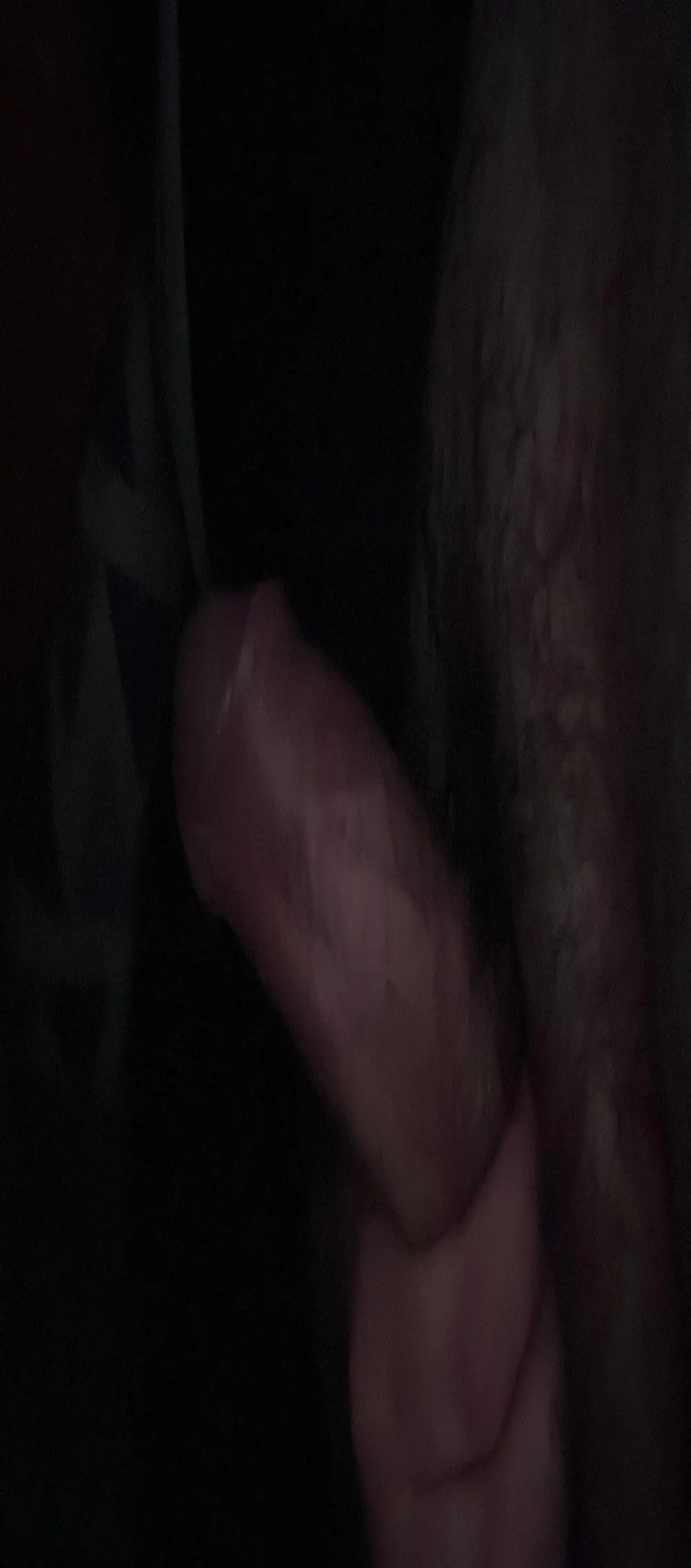 Diegopulgada