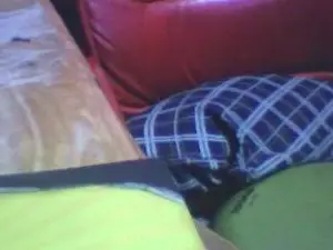 Cam4 Adult Webcams of betercim