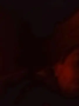 Cam4 Best live sex cam show of Yoel_Leon