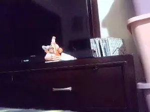 Cam4 Sex Cam of mike888sexy