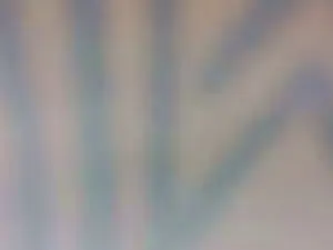 Cam4 Live Sex Cam of crazy1972