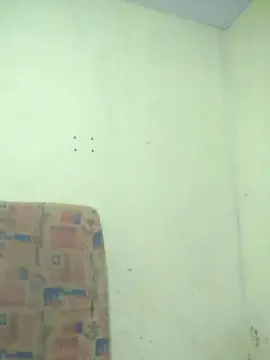Cam4 Live Porn of Edisafadinha