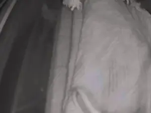 Cam4 Best live sex cam show of agpboysub