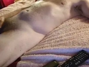 Cam4 Sex Cam of Aumega