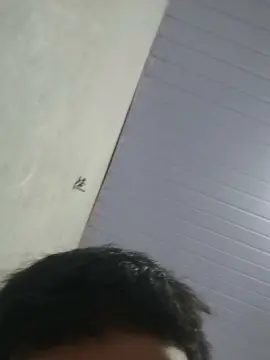 Cam4 Adult Video Chat of Josa040319