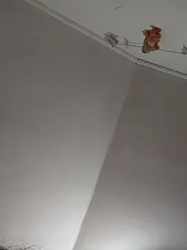 Cam4 Best live sex cam show of Camilitaxxxxxxx