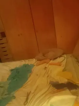 Cam4 Live Sex Cam of bossandbanny