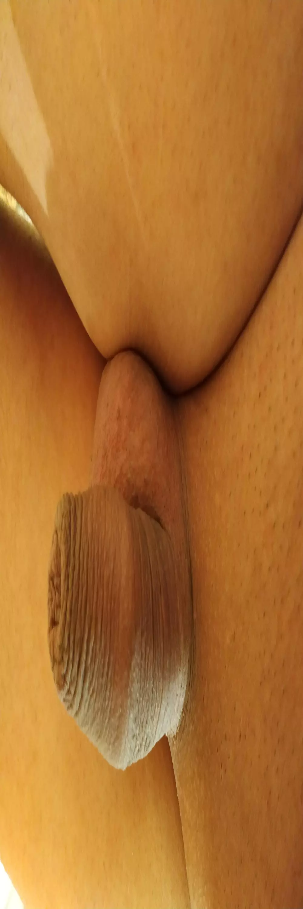 mendyx3