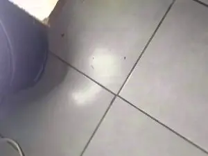 Cam4 Free Porn Cam of SUPERBBC_ASS