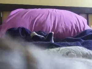 Cam4 Watch Live Sex Cams of reddsy