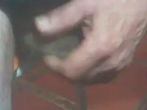Cam4 Watch Live Sex Cams of jlcanu1