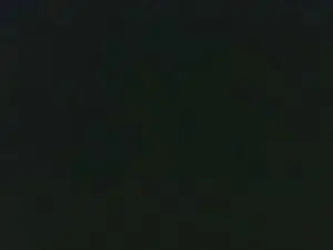 Cam4 Best live sex cam show of bearsex082