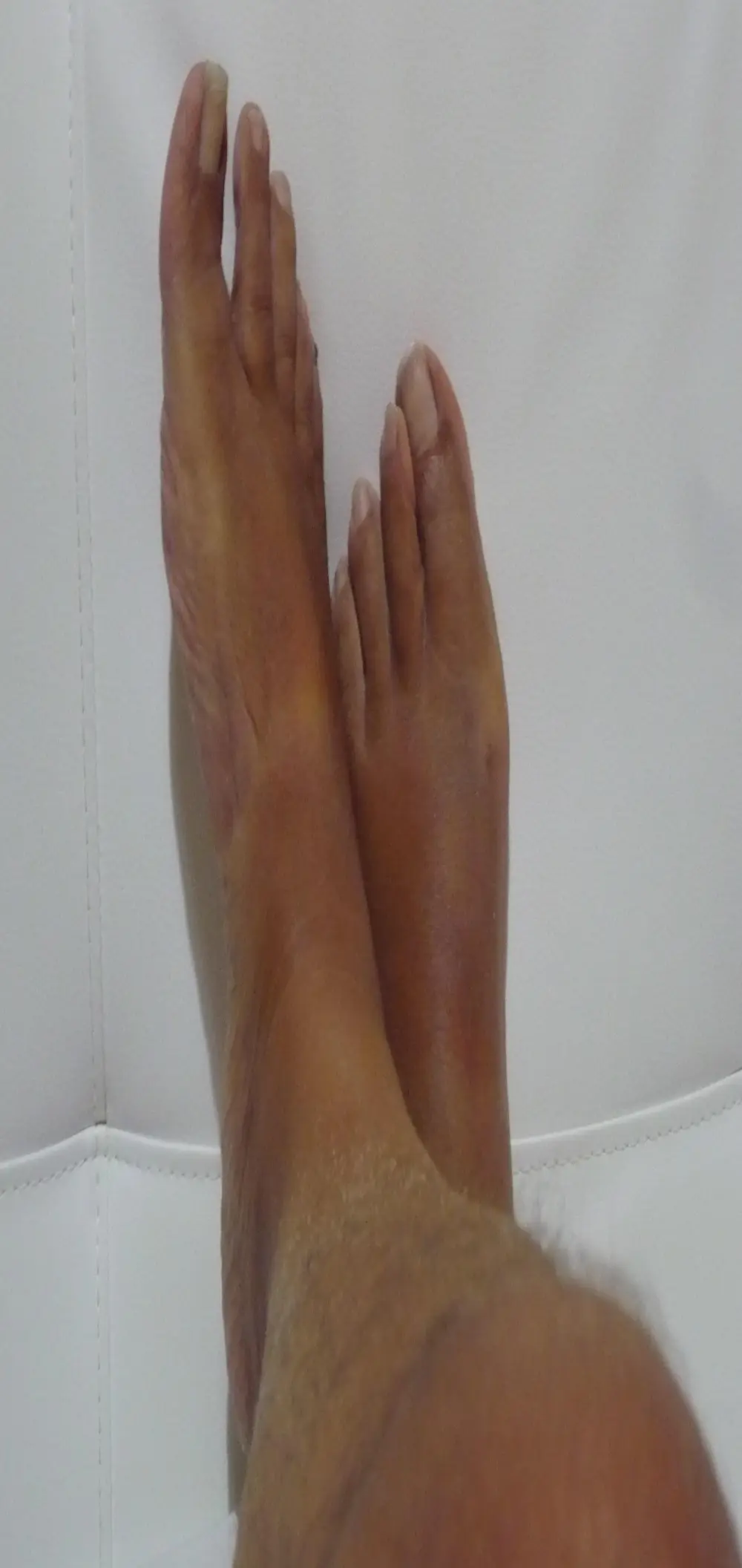 brucofarfalla