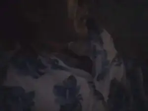 Cam4 Live Sex of JuanElDulce1