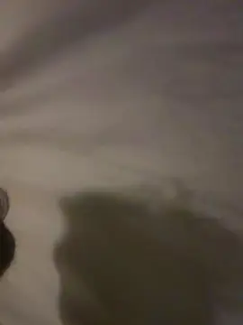 Cam4 Live Porn of reylton8