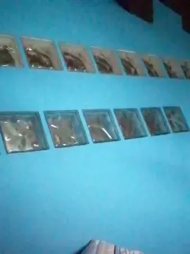Cam4 Live Sex of bimbasexy