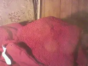 Cam4 Sex Cam of thighwalker