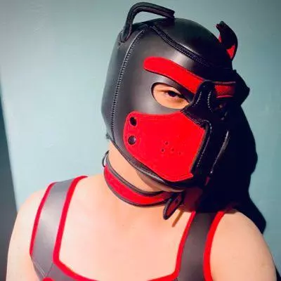 hank_Ss
