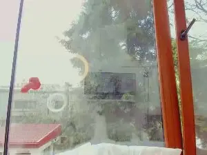 Cam4 Free Porn Cam of Naila18