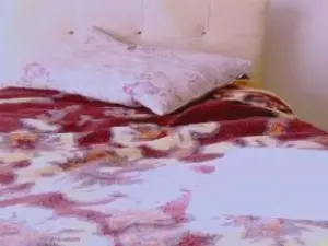 Cam4 Free Live Porn of Alisex31