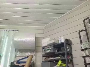 Cam4 Live Sex Cam of pbmotorsfun3