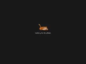 Cam4 Free Porn Cam of Georgebongo