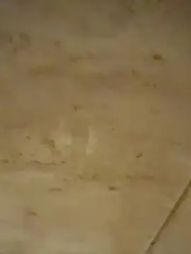 Cam4 Adult Webcams of Jav42