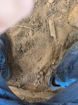 Cam4 Free Live Porn of snackgrossa