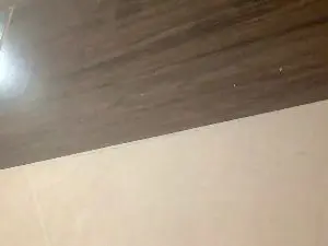 Cam4 Private Sex Chat of Javi2024