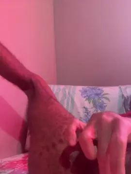Cam4 Sex Cam of Anonimoxx20cm