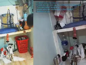 Cam4 Adult Webcams of Hwanghonghae