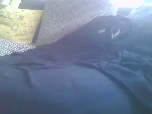 Cam4 Private Sex Chat of Tonyfrie