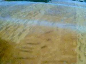 Cam4 Watch Live Sex Cams of srav5