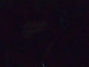 Cam4 Adult Webcam of rio_babel