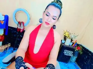Cam4 Best Webcam of Transbrittany