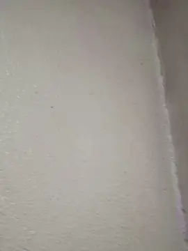 Cam4 Live Sex of facor1