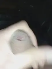 Cam4 Free Live Porn of rodovlaz