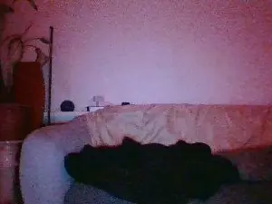 Cam4 Adult Video Chat of Jonanbcn