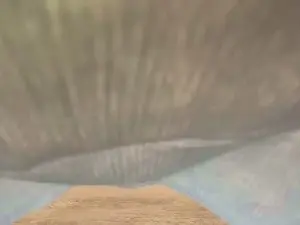 Cam4 Best live sex cam show of hunghotstud1