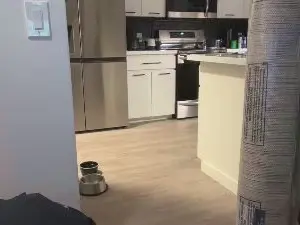 Cam4 Watch Live Sex Cams of hunghotstud1