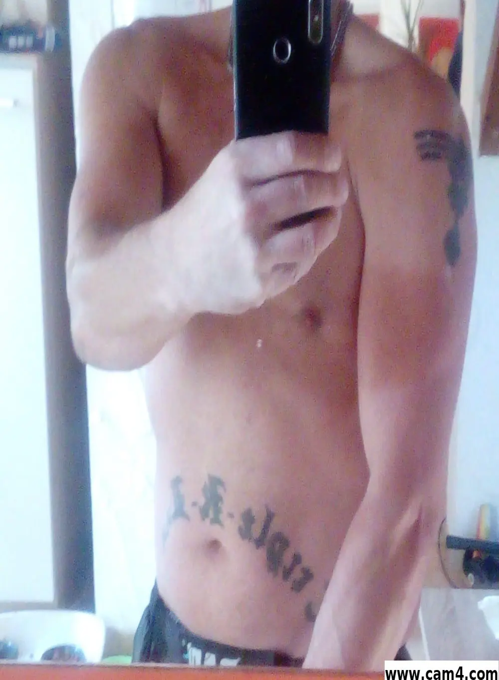 dombull1