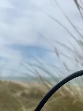 Cam4 Sex Cam of Zeigegeiler69