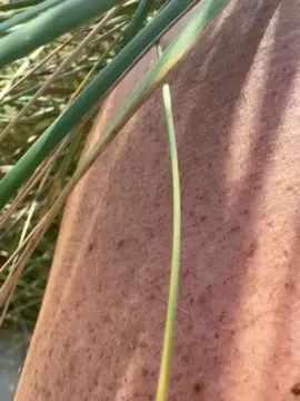 Cam4 Sex Chat of Zeigegeiler69