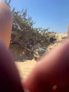 Cam4 Private Sex Chat of Zeigegeiler69