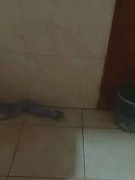 Cam4 Adult Video Chat of fede_hot4