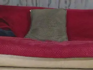 Cam4 Sex Chat of Ryan_the_man