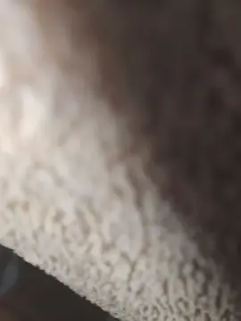 Cam4 Live Porn of Novinpirocudo69