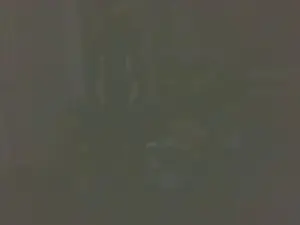 Cam4 Watch Live Sex Cams of boost2469